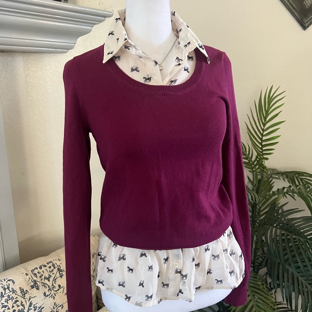 U.S. Polo Assn. Women's Plum V-Neck Sweater